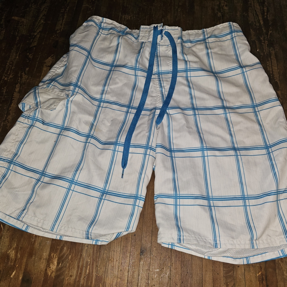 Blue and White Plaid Men's Swim Shorts